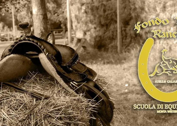 Calabria Mia 3* Amantea